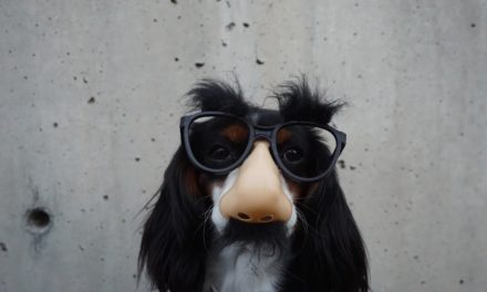 Cults Vs Christianity